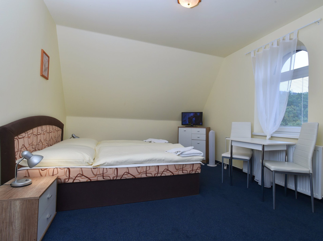 Hotel U Jezirka主图
