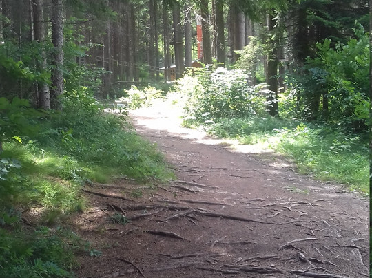 Tre Cime Adventure Park-奥龙佐迪卡多雷必去景点
