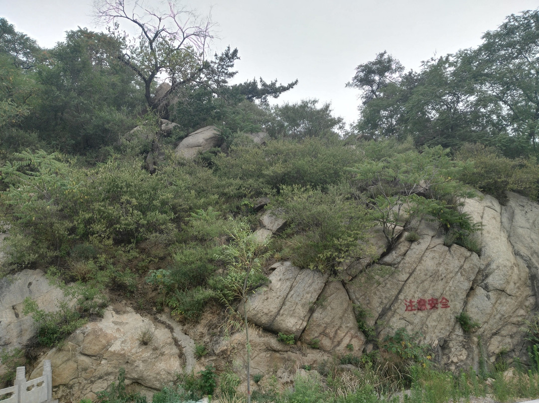 棋山森林公园-莱芜市必去景点