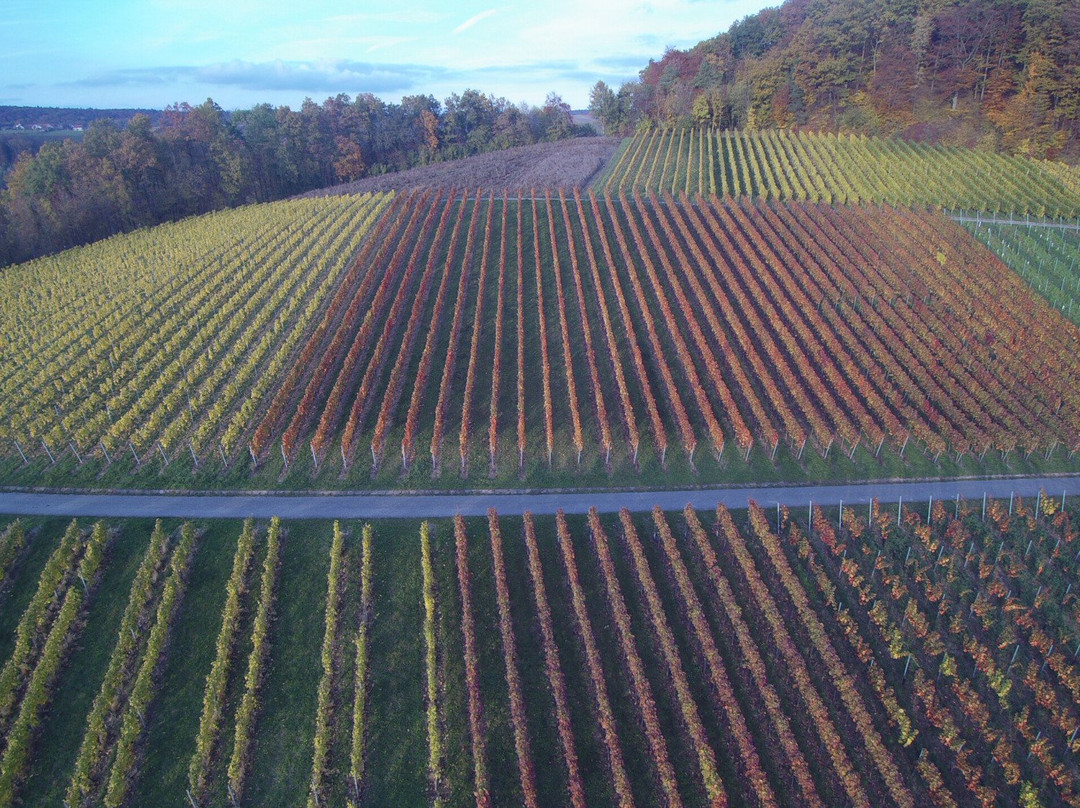 Weingut und Edelbrennerei Gemmrich-Beilstein必去景点