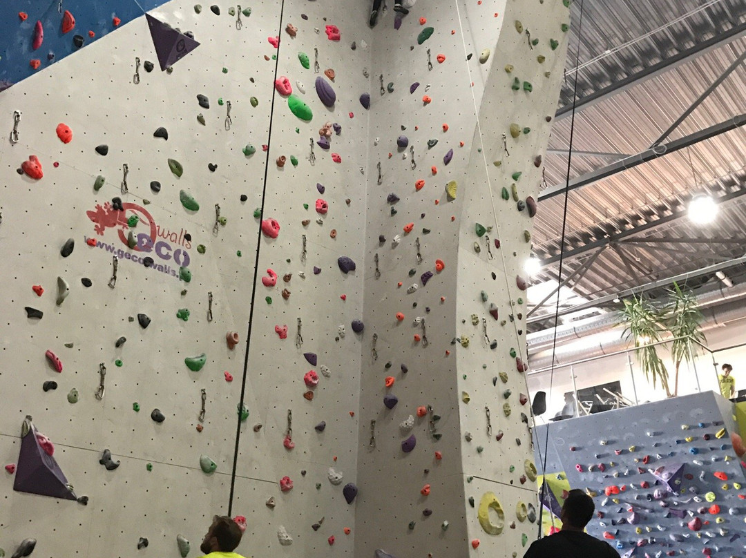 Murall Rock Climbing景点图片