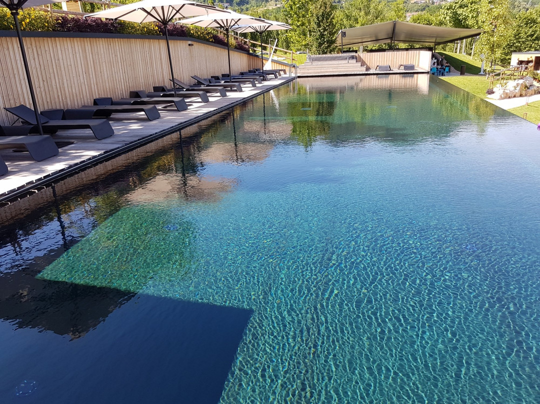 Santorso酒店住宿-Podere La Torre