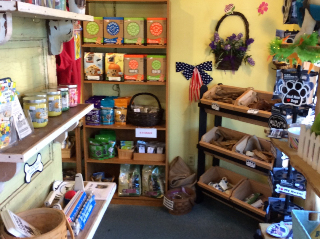 Puppy Love by the Sea-坎农比奇必去景点