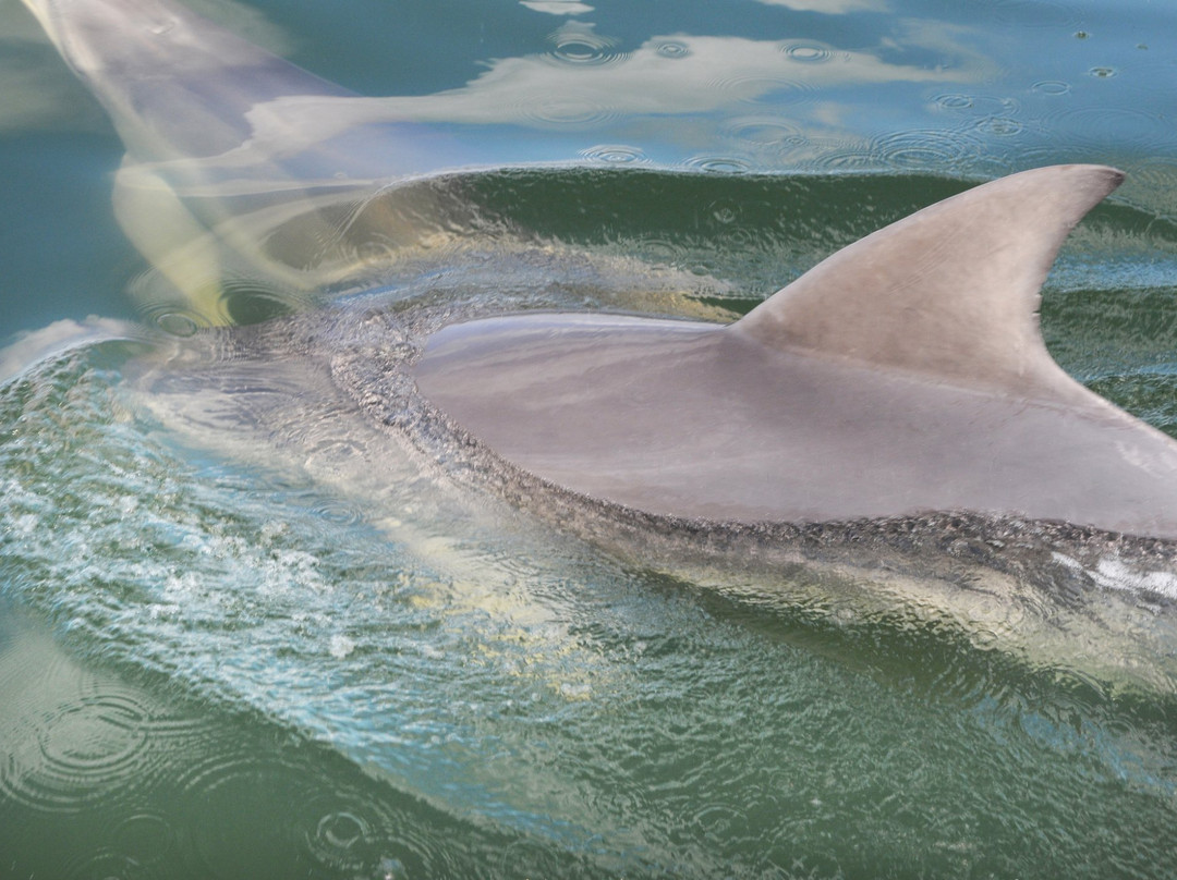 Norm Neilson Fine Art Photography-Metung必去景点