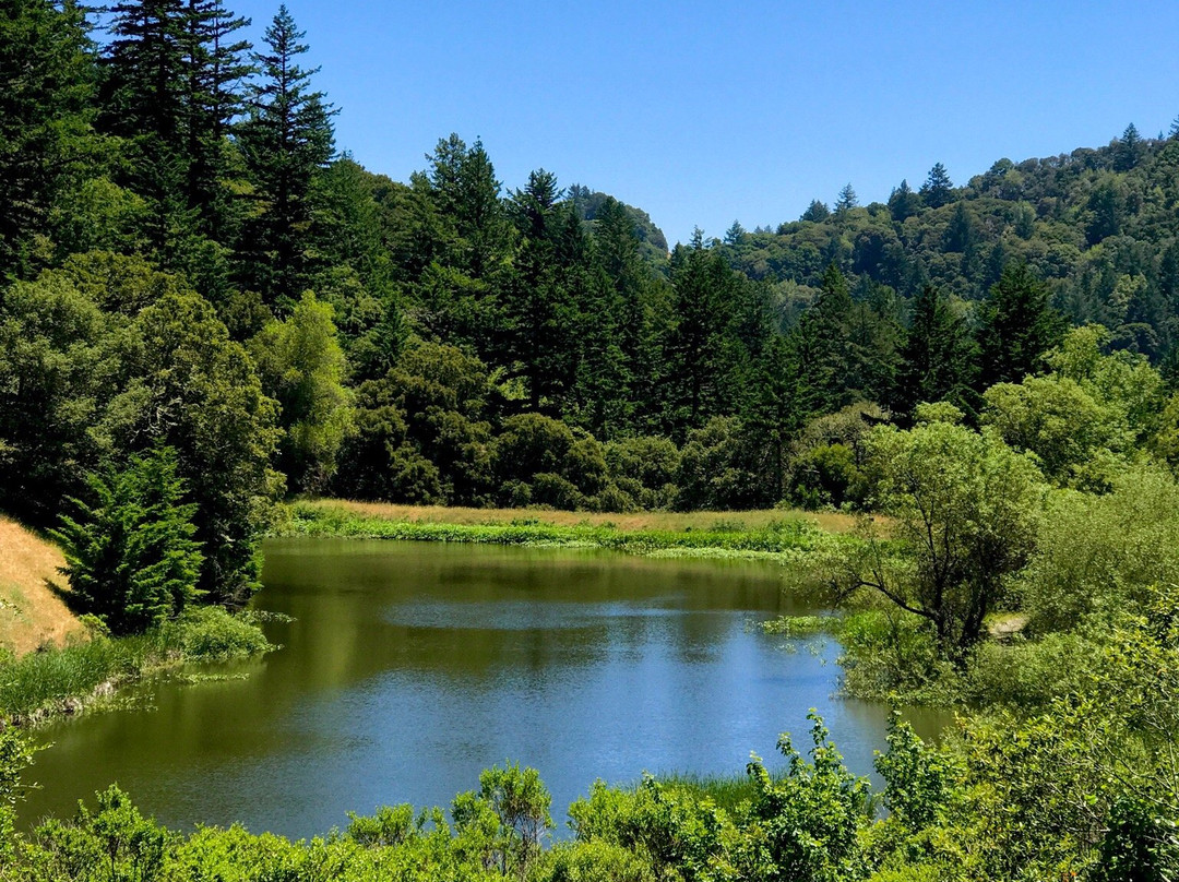Horseshoe Lake-圣马特奥必去景点
