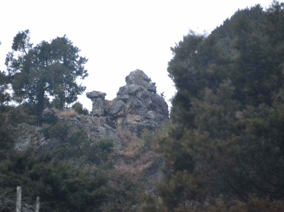 The Camel Rock-马苏里必去景点