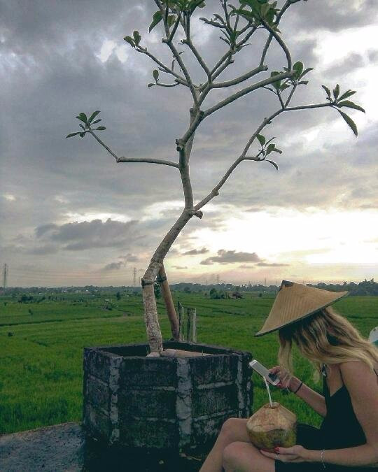 Tuntun Bali-孟格威必去景点