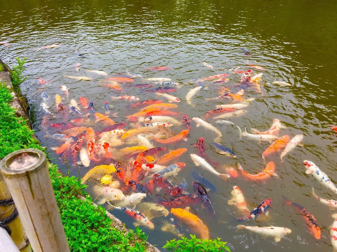 Kanmuriyama Park-光市必去景点