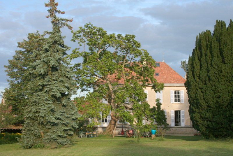 Clos des Roseaux-官方