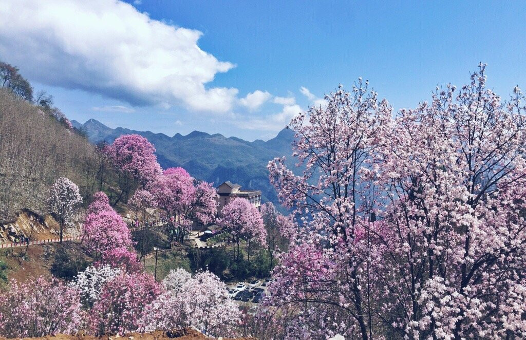 药王谷旅游景区景点图片