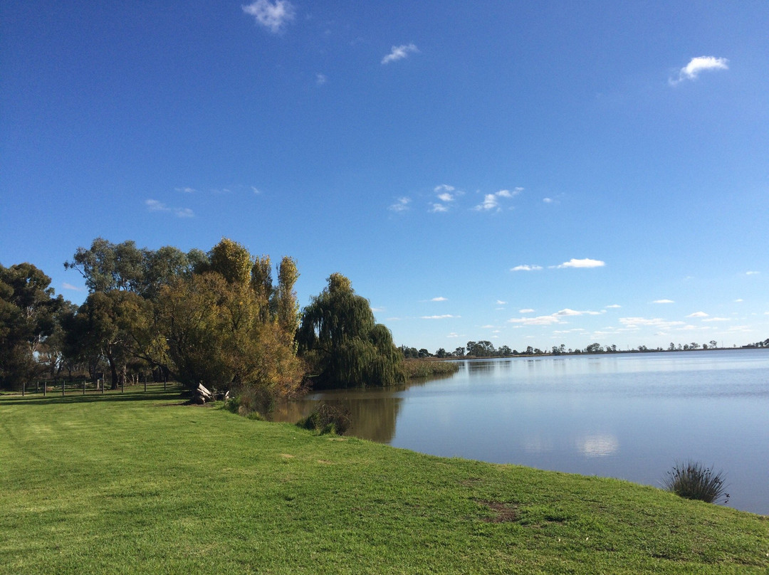 Reedy Lake Reserve景点图片