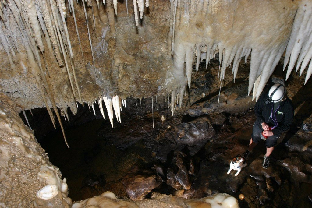 Adventure Waikato-怀卡托地区必去景点