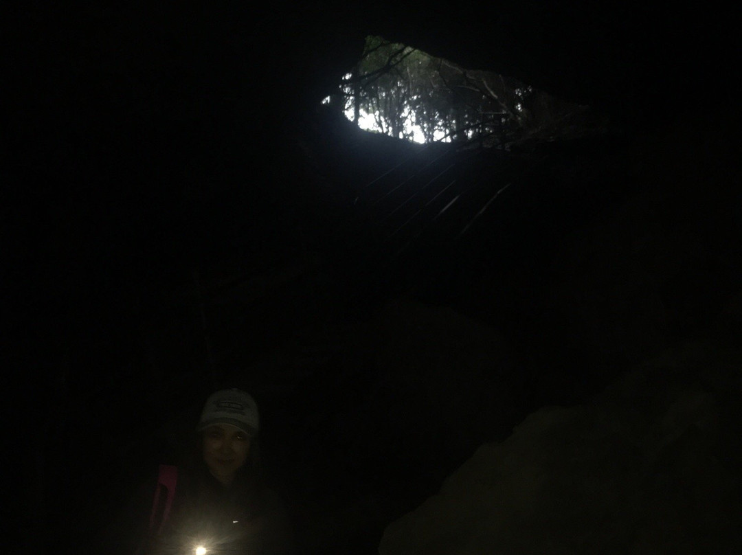 Mangaone Caves Track-Wairoa必去景点