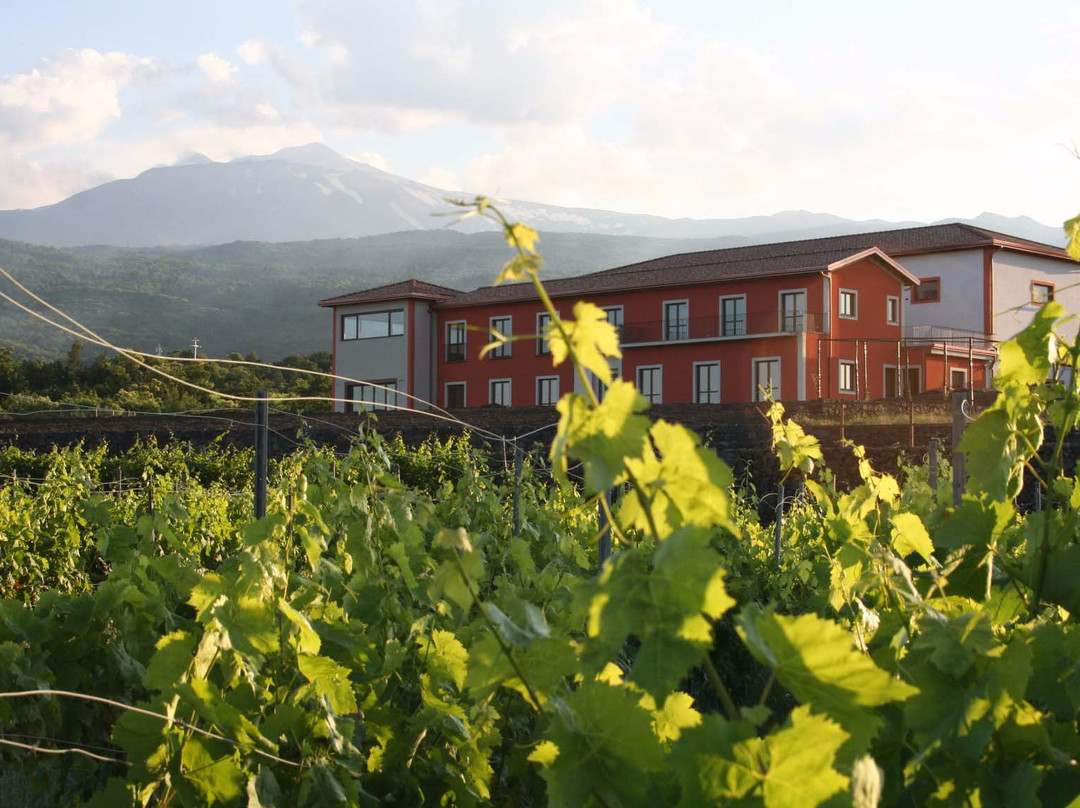 VIVERA Etna Winery景点图片