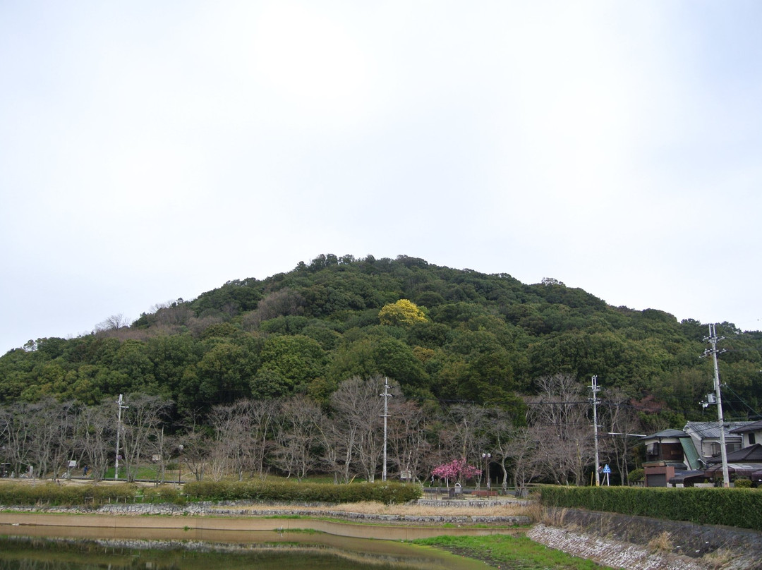 Mt. Miminashi景点图片