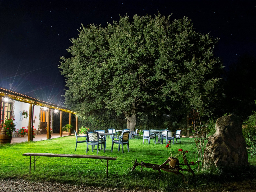 Gavoi餐馆和美食-Agriturismo Sa Serra