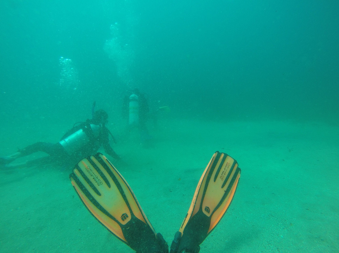 Tweed Sea Sports-堤维德岬必去景点