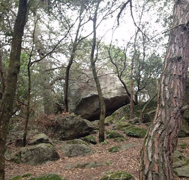 Ruta prehistòrica la Roca del Vallès景点图片