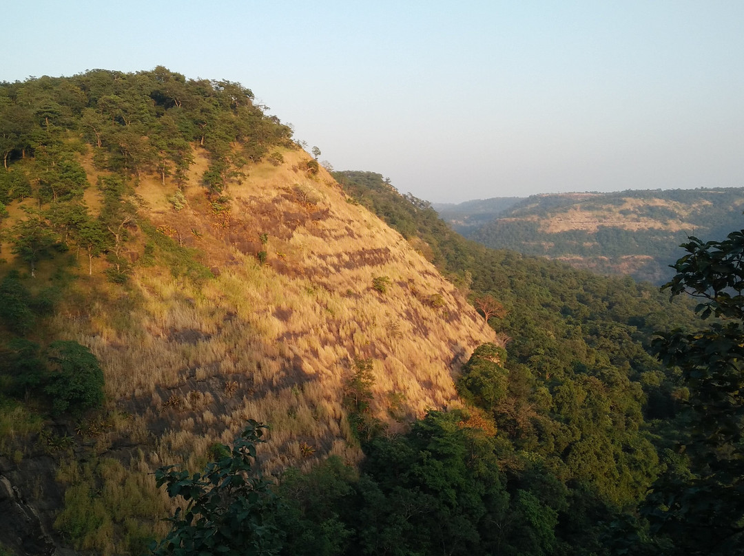 Tansa Wildlife Sanctuary景点图片