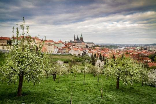 Prague Arts Tour - Jana Preti-布拉格必去景点