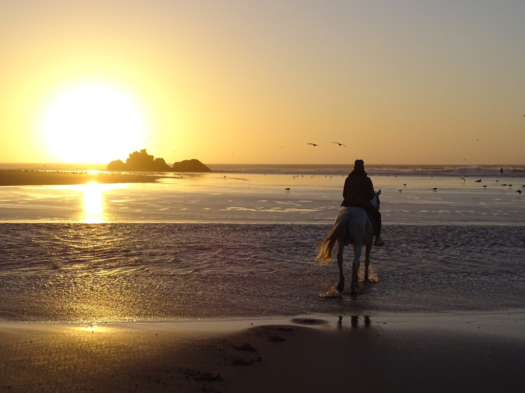 Horseriding with Atman景点图片