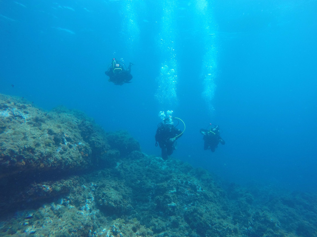 La Maison du Plongeur-Tenes必去景点