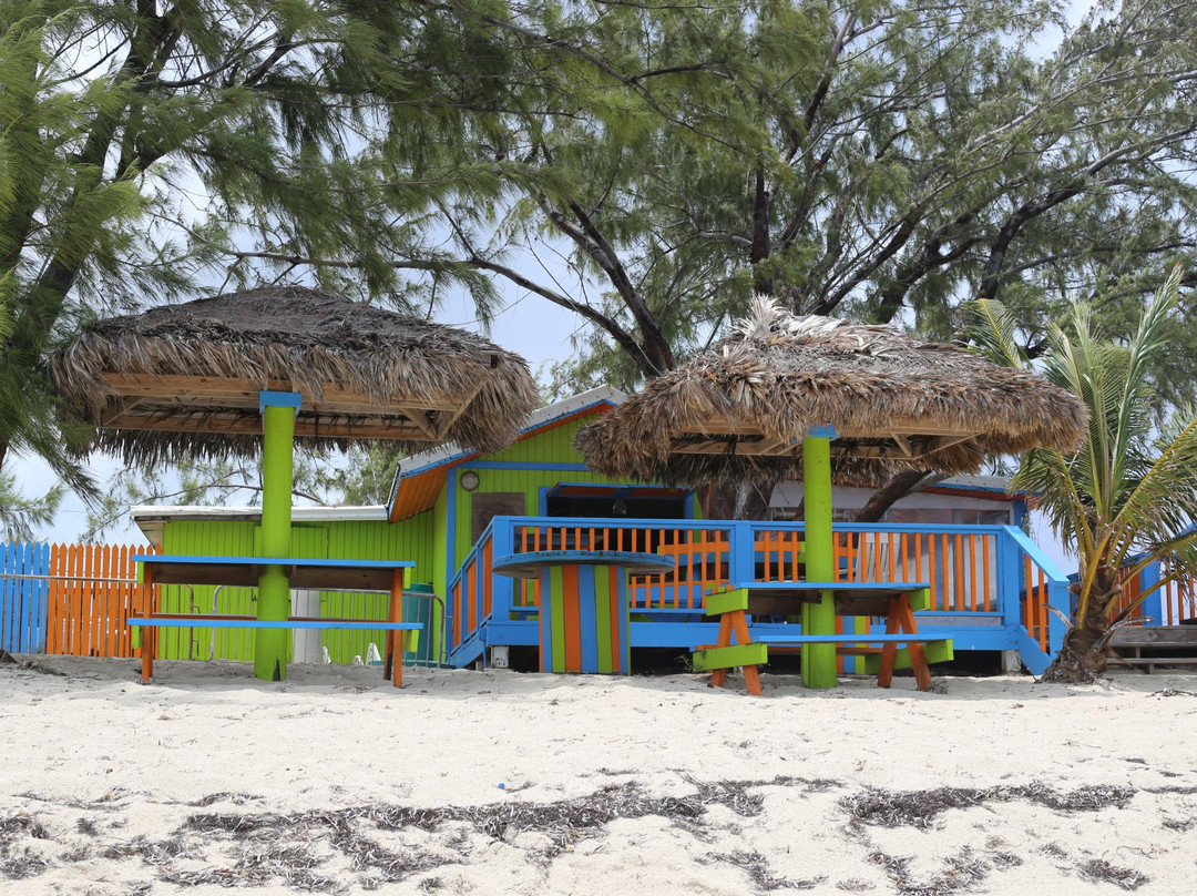 Froggie's On Daa Beach