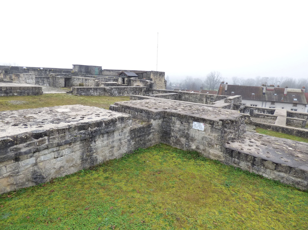 Forteresse de Chatel-Sur-Moselle景点图片