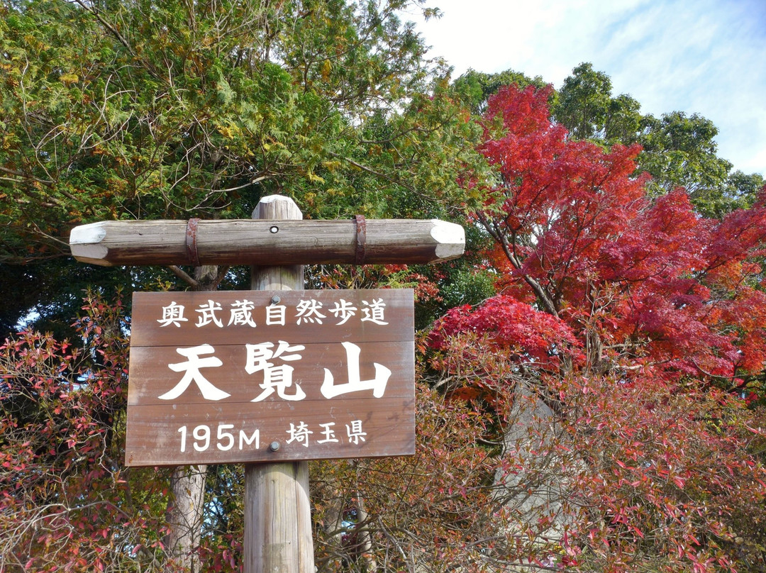 Mt. Tenran-饭能市必去景点