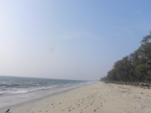 Munambam Beach旅游攻略图片