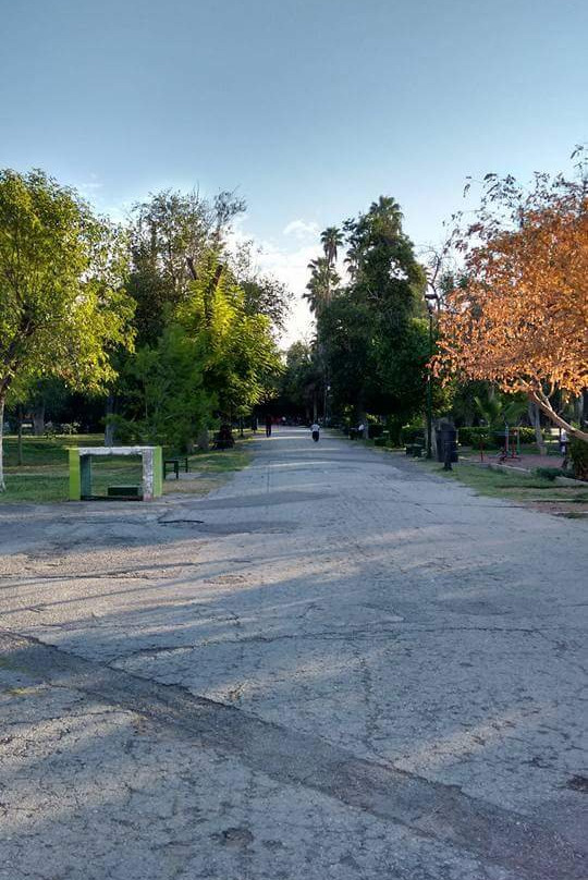 Bosque Venustiano Carranza-Torreon必去景点