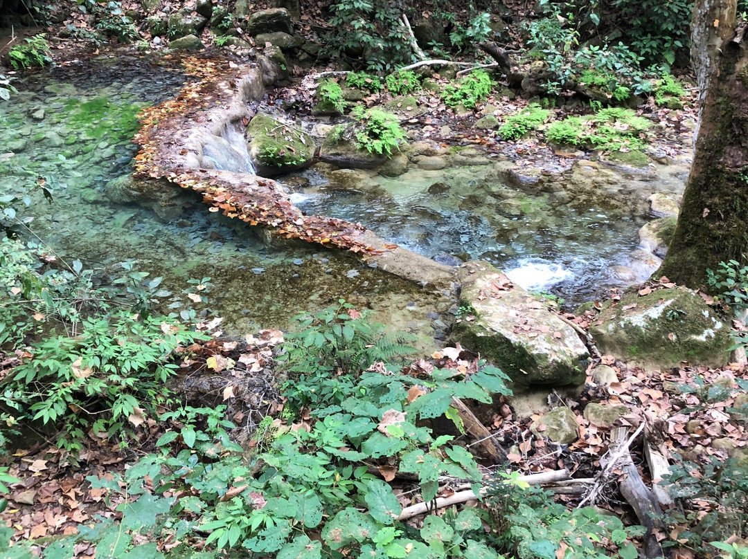Cascada El Chuveje-Pinal de Amoles必去景点