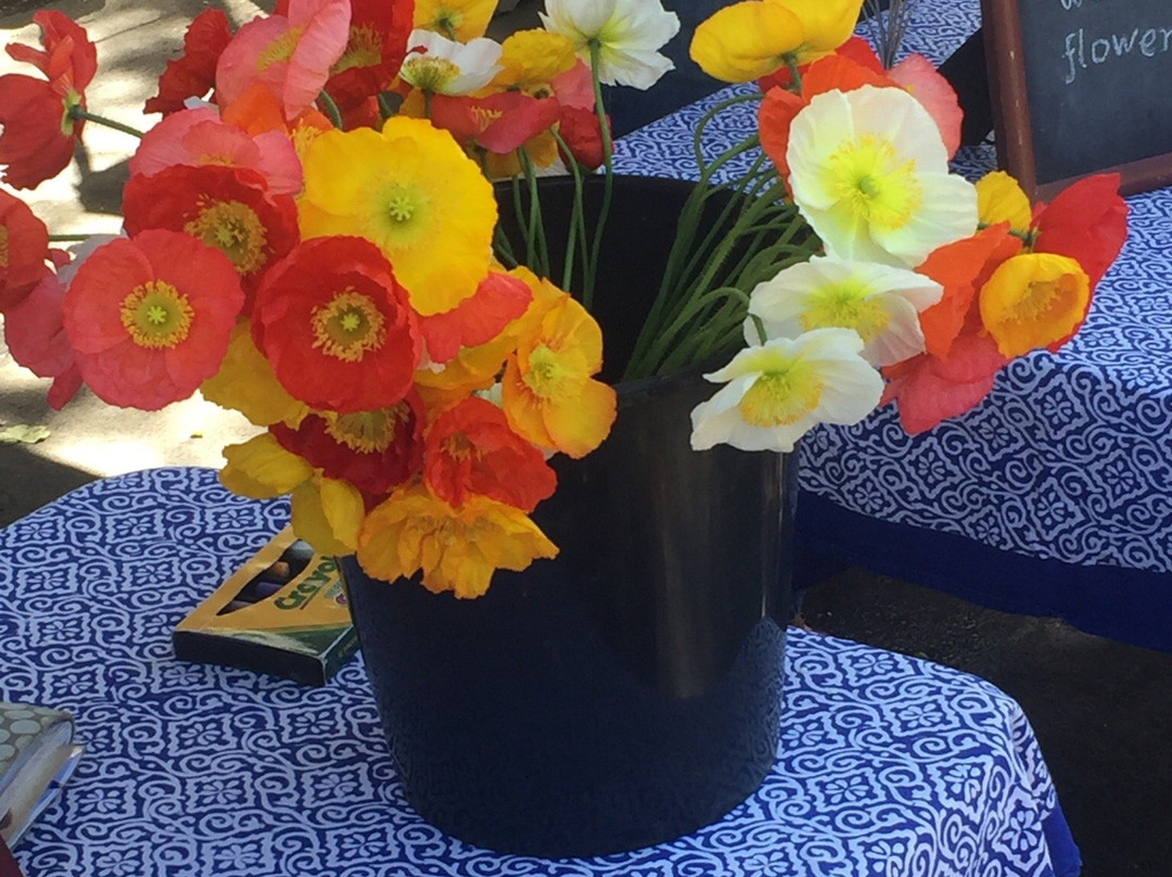 Moscow Farmers Market-莫斯科必去景点