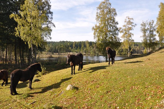 Gislavedsleden-Gislaved必去景点