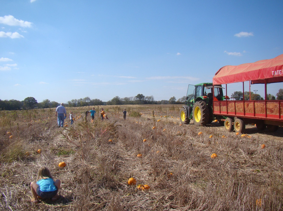 Tate Farms-Meridianville必去景点