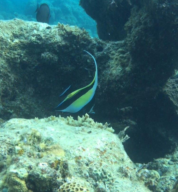 Kopepe Beach-小笠原村必去景点