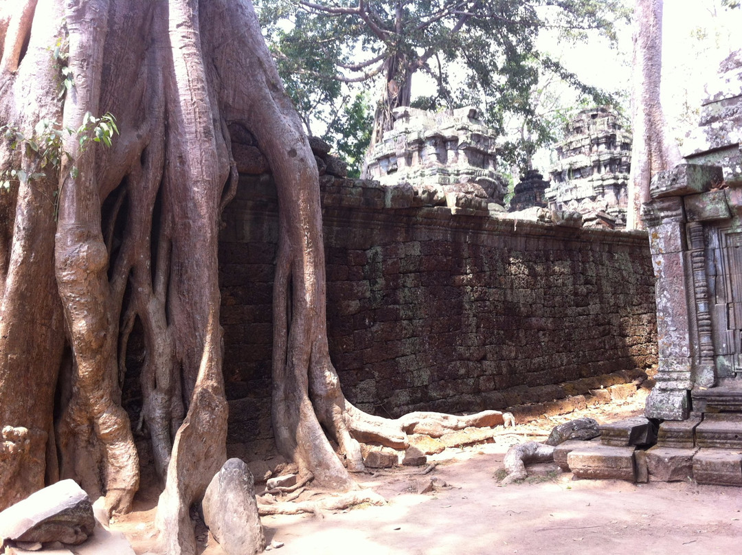 Angkor Taxi and TukTuk driver-暹粒必去景点