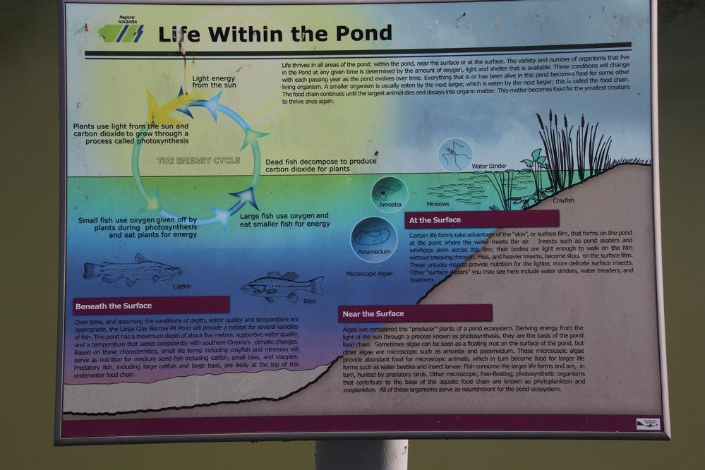 Glenridge Quarry Naturalization Site-圣凯瑟琳斯必去景点