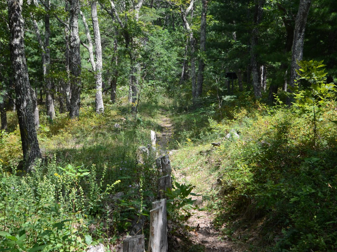 McDowell Battlefield-McDowell必去景点