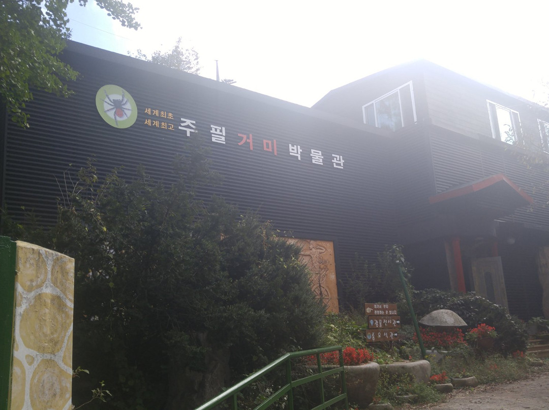 Jupil Spider Museum-南杨州市必去景点