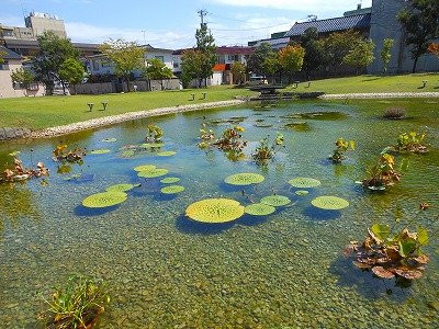 Sunahase Park-加贺市必去景点