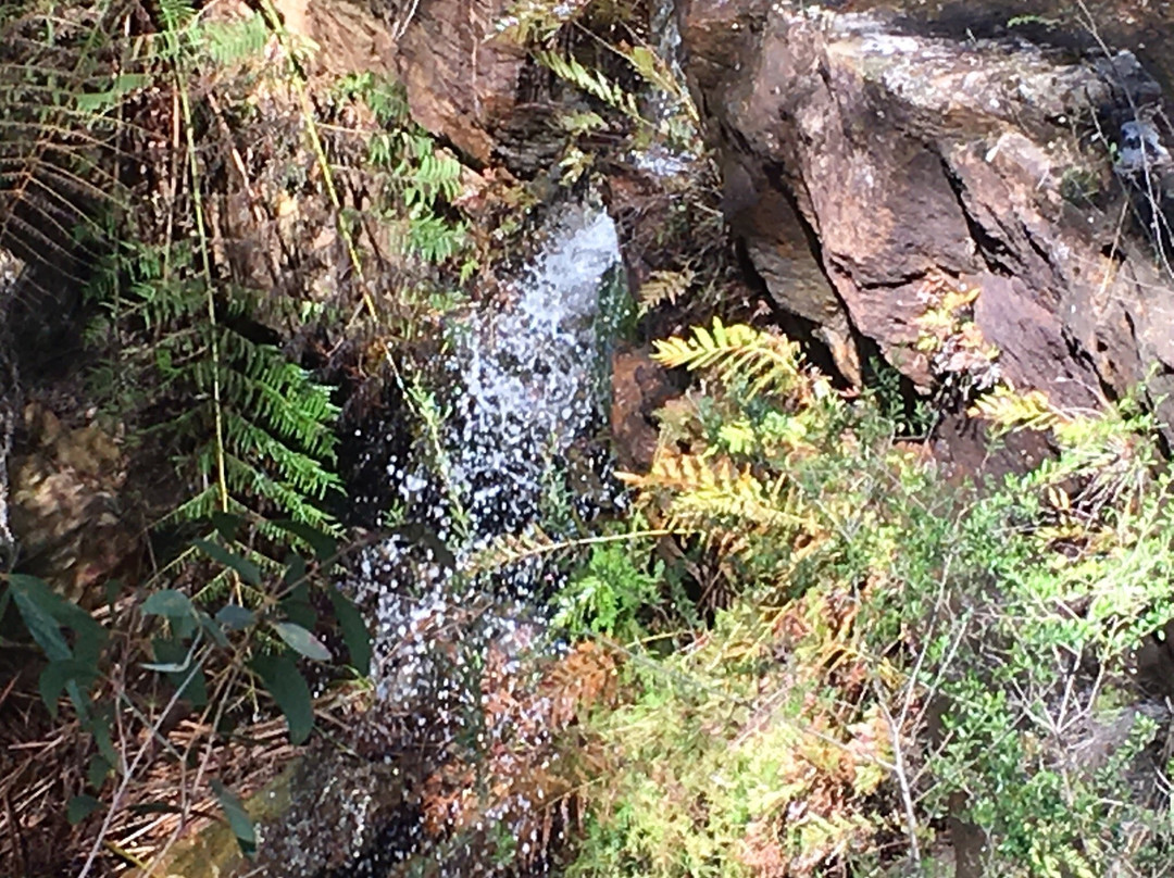 Distillery Creek Picnic Ground