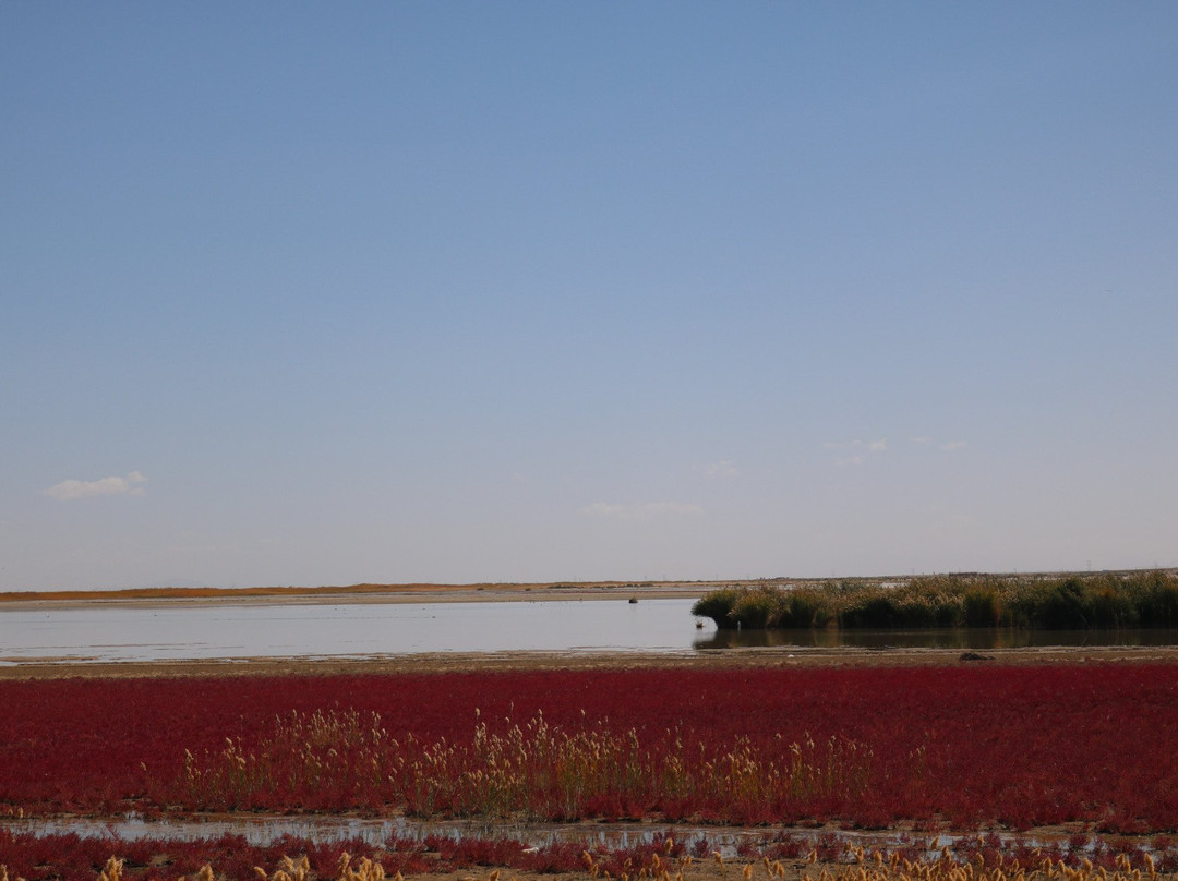 克鲁克湖-托素湖自然保护区-格尔木市必去景点