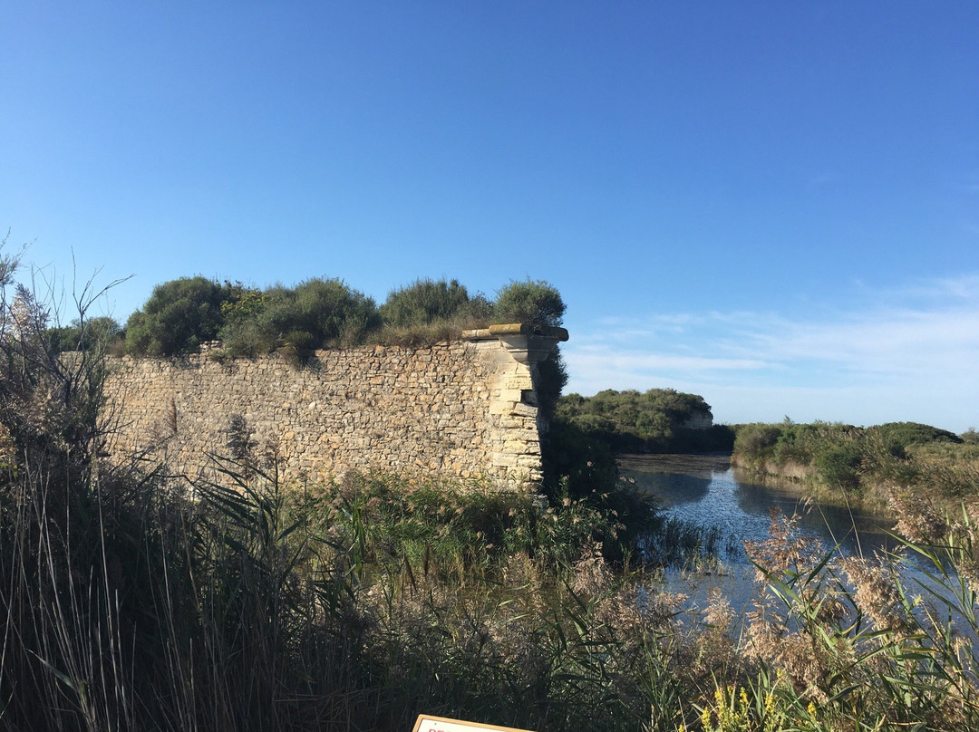 Saint-Laurent-d'Aigouze旅游攻略图片