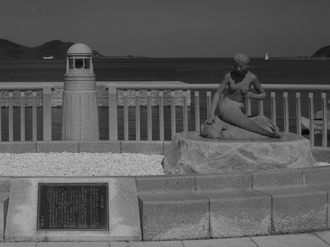 Mermaid Terrace景点图片