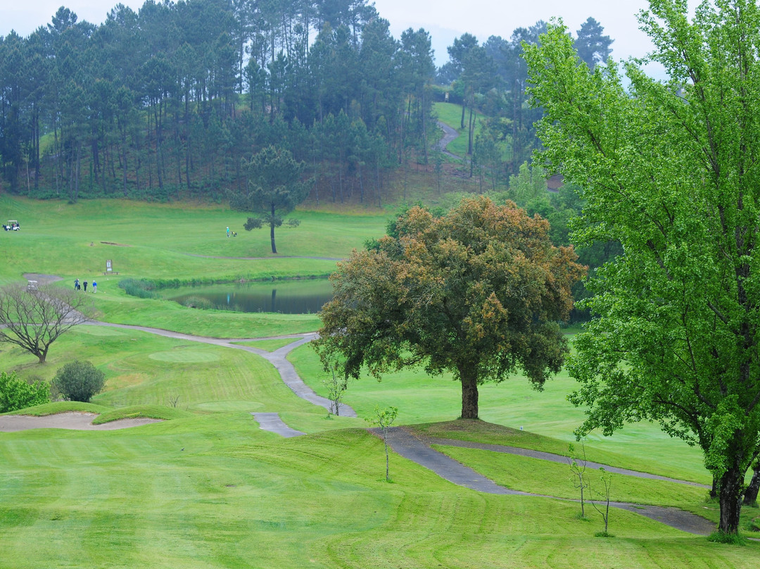 Amarante Golf景点图片