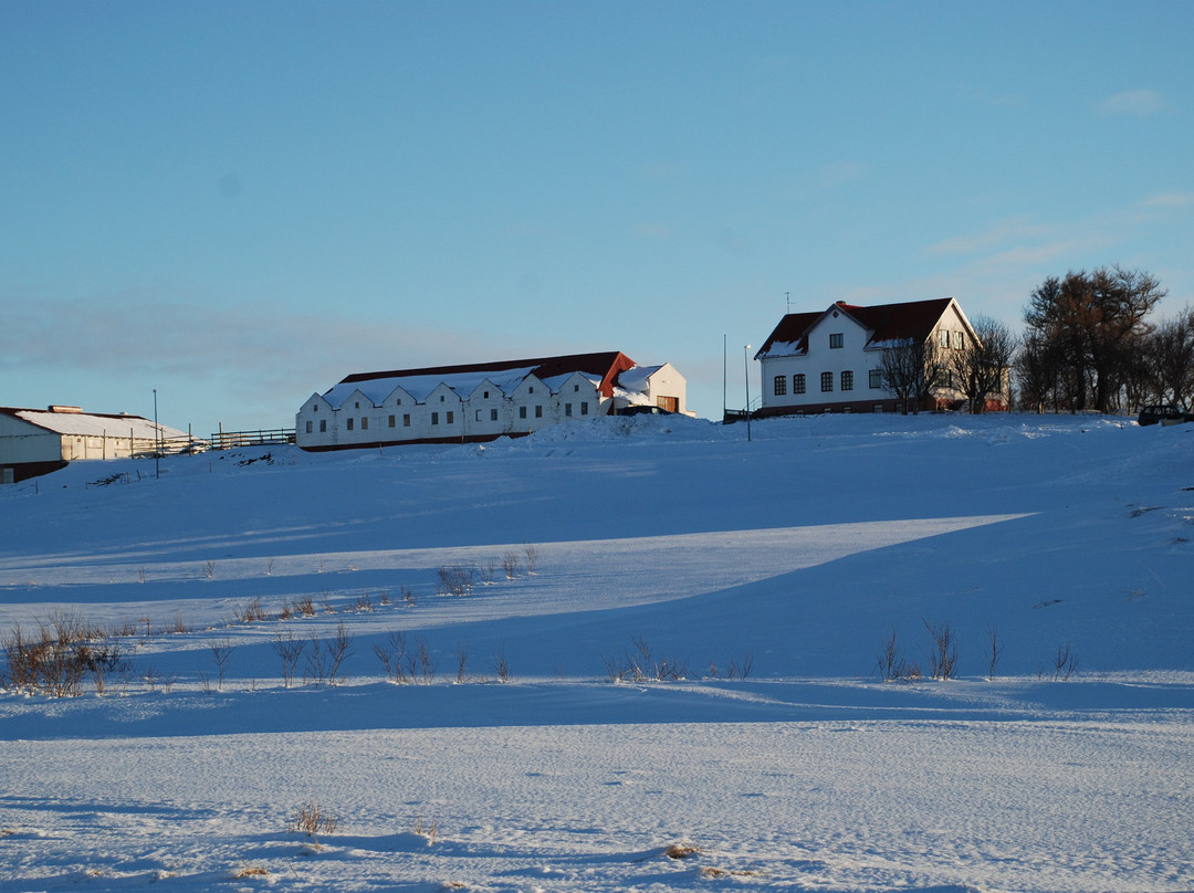 Helluland Guesthouse主图