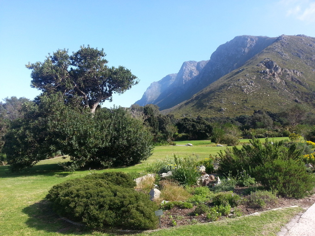 Harold Porter National Botanical Gardens景点图片