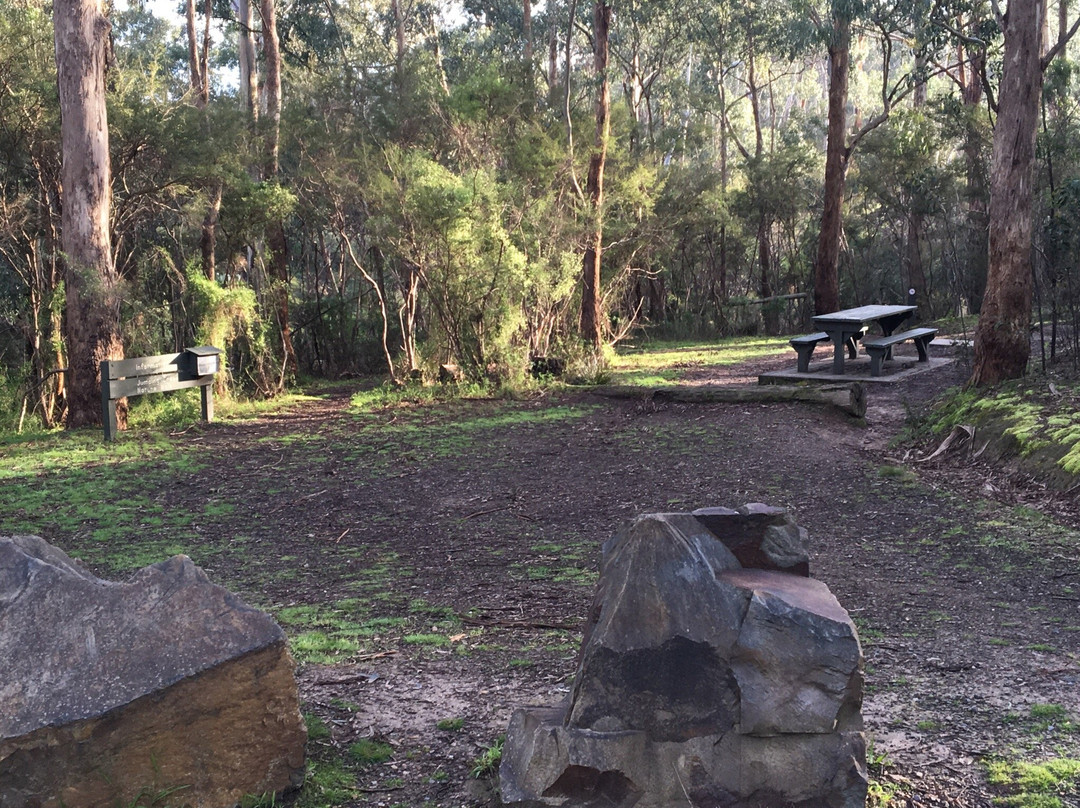 Jumping Creek Reserve-Warrandyte必去景点