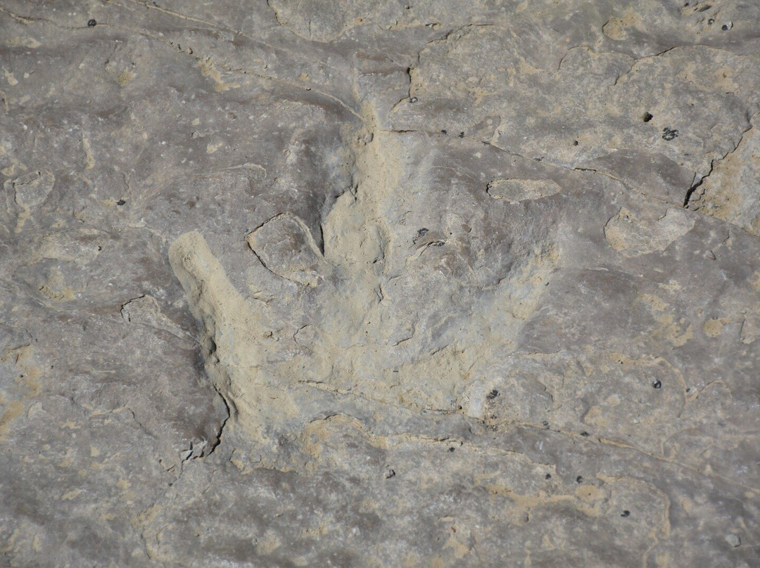 Red Gulch Dinosaur Tracksite-Greybull必去景点